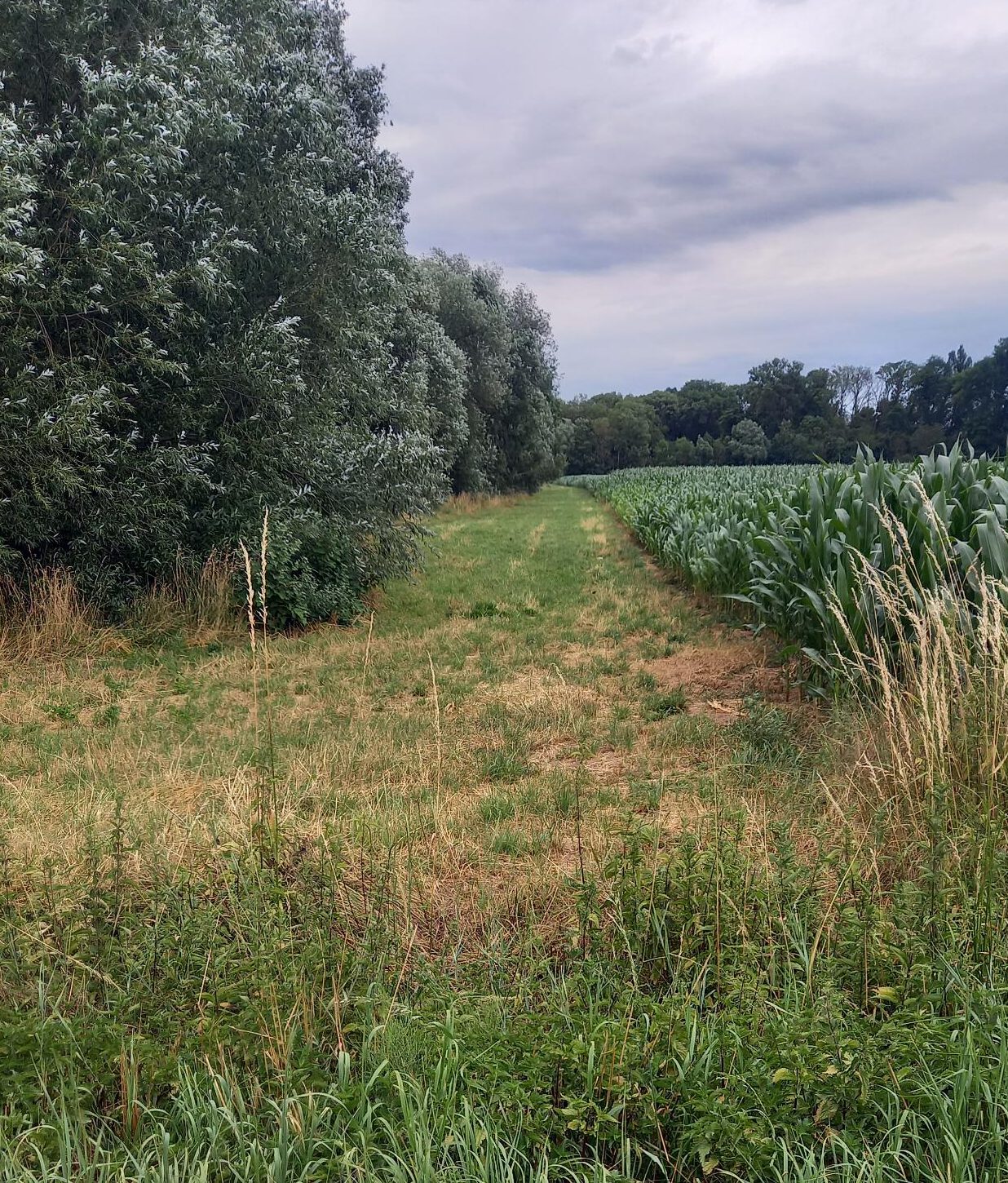Begehung des möglichen Radwegs